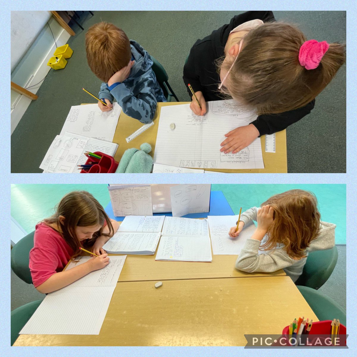 DeanburnPS_P7A's tweet image. We are using the #Report we did on aquatic animals last week to create a double page spread in #ExtendedWriting today. We had to be very creative and redraft and develop the writing we had already done! #ResearchNotes #VCOP #Illustration #Art #Design #Uplevel 🐬🐙🐡🦞🦭😊