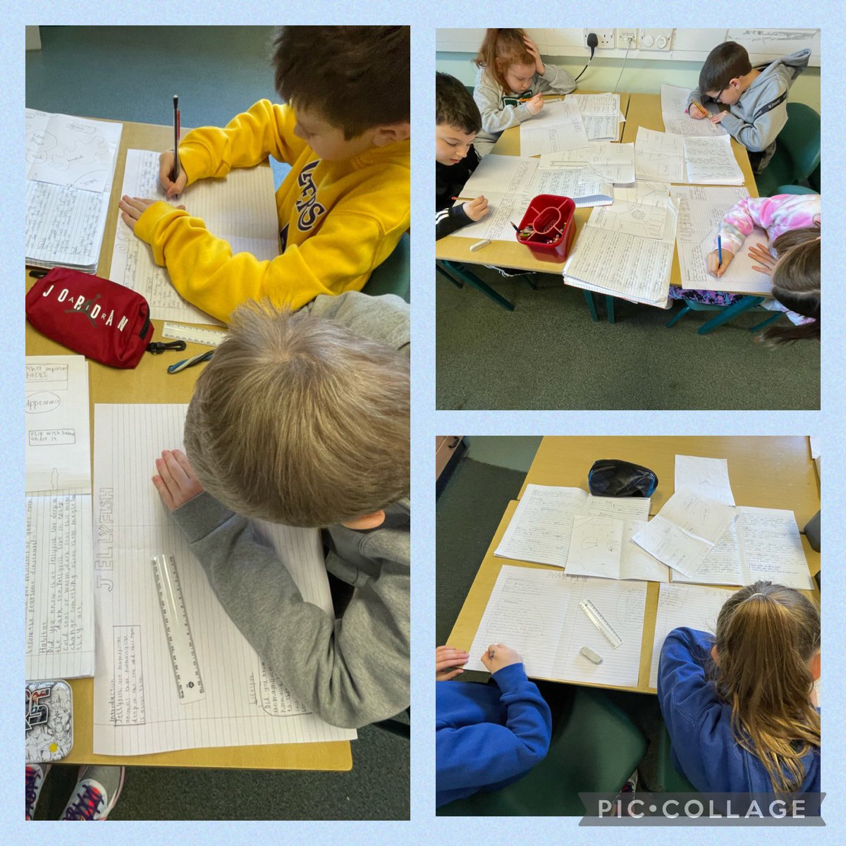 DeanburnPS_P7A's tweet image. We are using the #Report we did on aquatic animals last week to create a double page spread in #ExtendedWriting today. We had to be very creative and redraft and develop the writing we had already done! #ResearchNotes #VCOP #Illustration #Art #Design #Uplevel 🐬🐙🐡🦞🦭😊