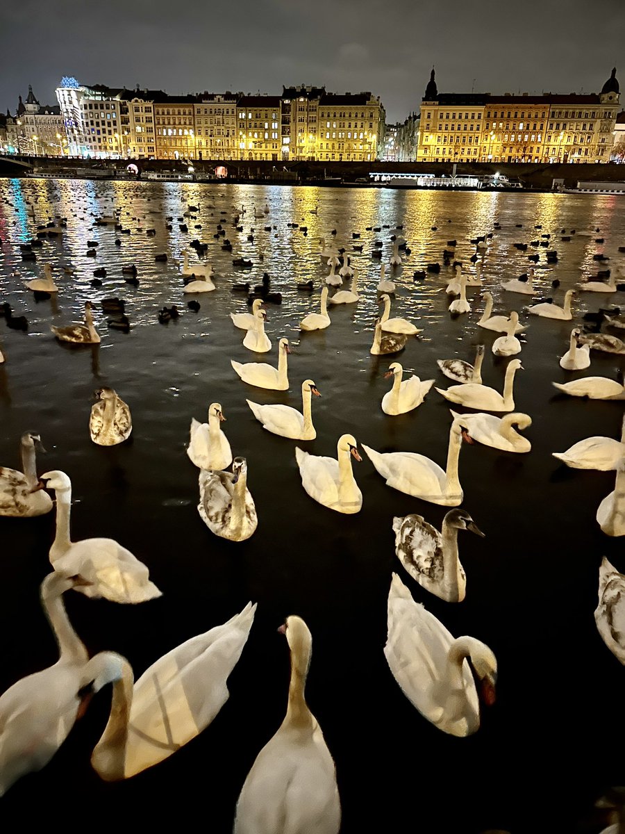 phlobserver's tweet photo. Vltava River… Prague https://t.co/zR6YMlJLX1