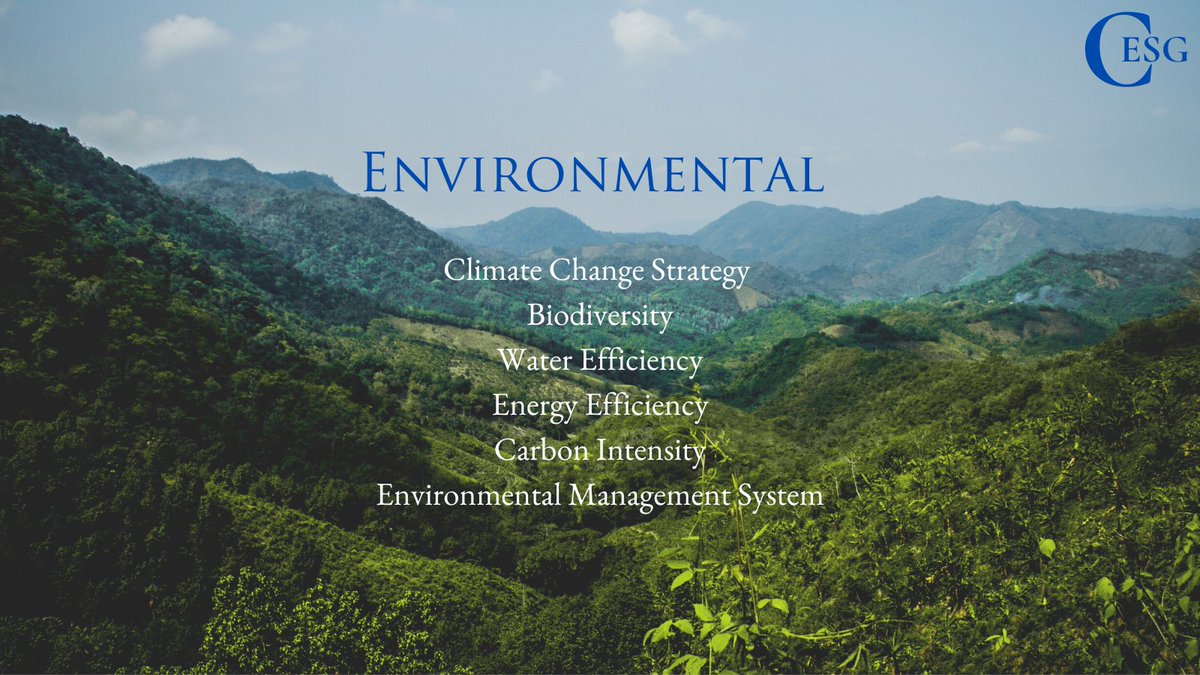 Sustainability & Energy Value Advisors tweet media