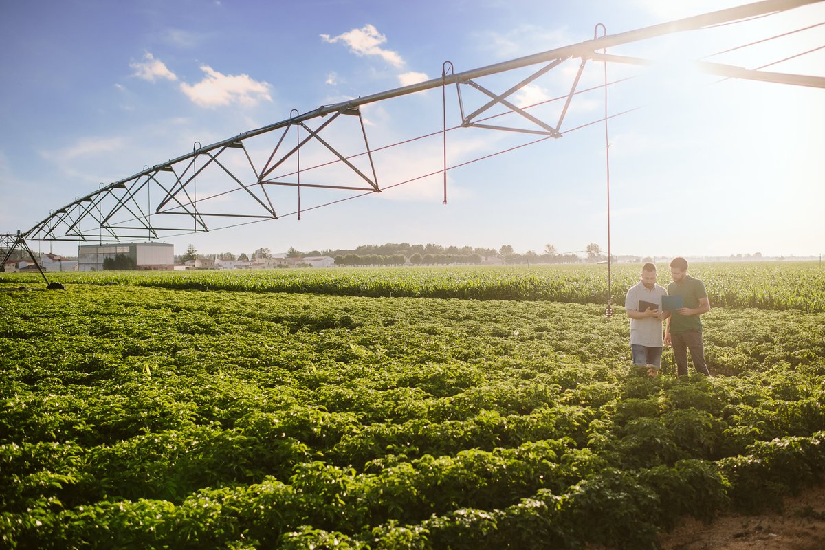 ESA_Snacks's tweet photo. As part of its Positive Agriculture agenda, @PepsiCo is sourcing crops and ingredients in a way that accelerates #RegenerativeAgriculture and strengthens farming communities 👩🌾🥔
More details in our sustainability report👇
https://t.co/2B0GQMr3S5
#MakingSnackingMoreSustainable https://t.co/zVM2lVmrI7