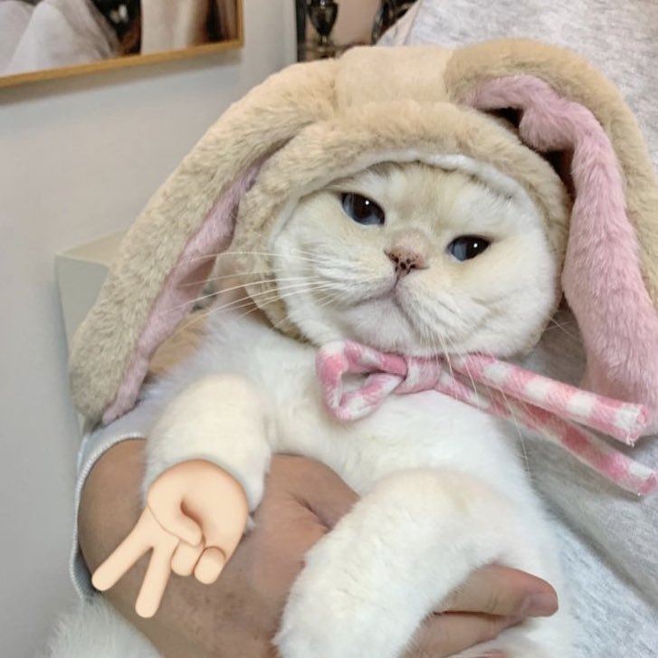 pr🎀mOtion 2.2 headdo ! !!ིྀ จากปกติ 15 บาท
เหลือราคาเฮดละ 10 บาท , เซต 3 เฮด 25 บาท , เซต 6 เฮด 45 บาท คละแบ̫บได้ กรอ⃝กฟอร์มในเมนชั่นส่งม͙าในเดมได้เลยคับป๋ม 🎱💘🦨
#ร้านฟอร์บอท #พื้นที่โปร #พื้นที่โปรร้าน