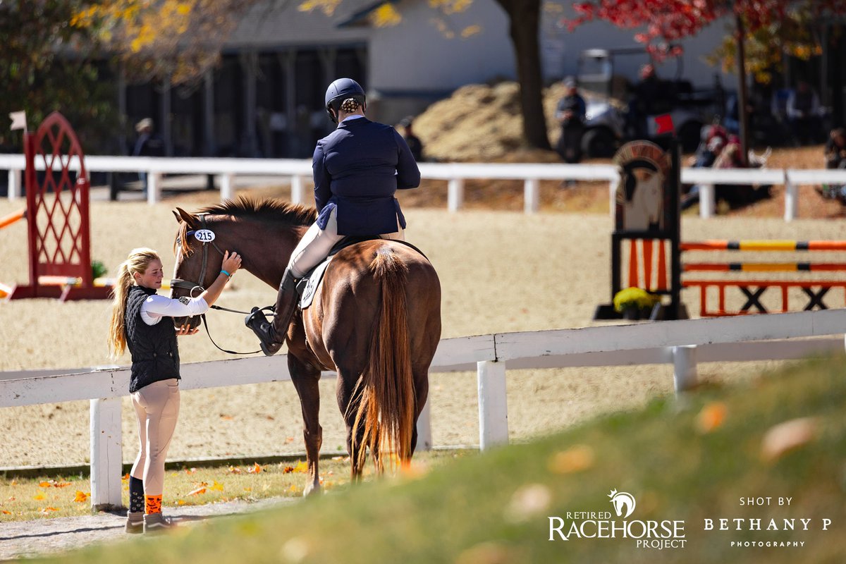 Retired Racehorse Project tweet media