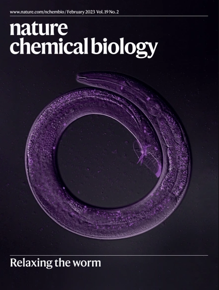 nchembio's tweet photo. The cover of our February issue (https://t.co/W5xcZt1tAa) features work from @group_schroeder on serotonin biosynthesis and metabolism in C. elegans (https://t.co/TAfq1o38Ze) with image by @surojitsural: https://t.co/828DOcVKGN