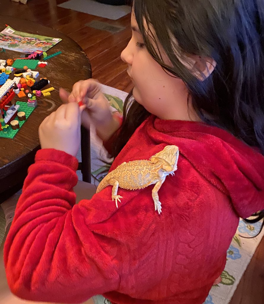 Haleigh putting legos together with her new buddy.