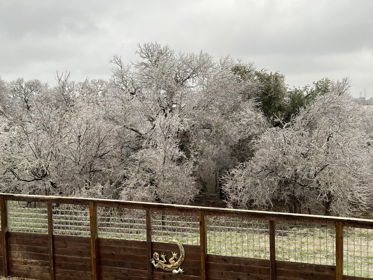 TinaT_TX's tweet photo. Good morning! Everything is covered in ice and we’ve been without power since 4am. And it’s my birthday! All I want is reliable, affordable power for all Texans and emergency backup power for medically vulnerable Texans! #txlege @AARPTX https://t.co/CUcL3RRYTa