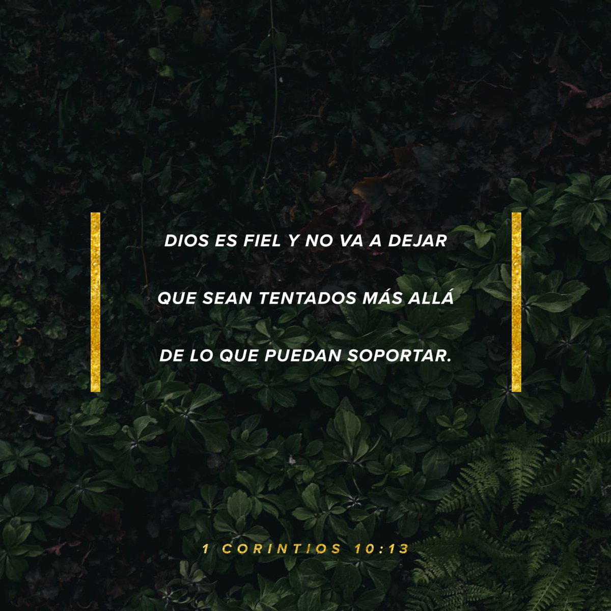 Ustedes no han pasado por ninguna tentación que otros no hayan tenido. Y pueden confiar en Dios, pues él no va a permitir que sufran más tentaciones de las que pueden soportar. Y cuando vengan, Dios mismo les mostrará cómo vencerlas, y así podrán resistir.
1 Corintios 10:13 TLA