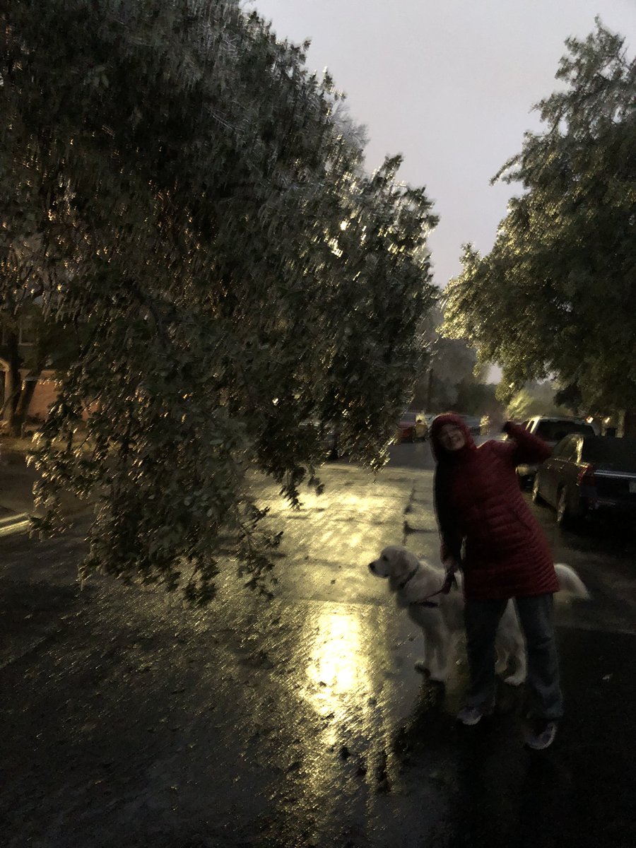 RenaissanceXM's tweet photo. Lots of trees heavy with ice and falling branches in our neighborhood. Gonna be a rough day in Austin. #ThisIsAustin https://t.co/BTiyVQJRQg