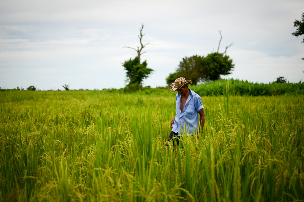 Wetlands are one of the🌎's best carbon sinks: they capture and store CO2 from the atmosphere.

The maths is simple, if wetlands are in danger, so is the planet.

💌RT to show some love #ForWetlands, ahead of tomorrow's World Wetlands Day.