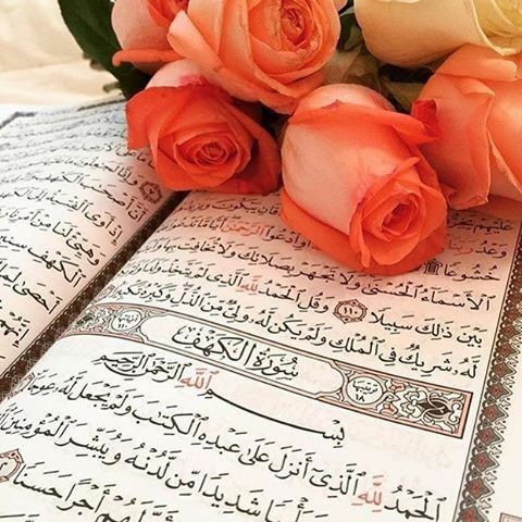 SQ_Shahd's tweet photo. بـا قـرآن زنـدگـی ڪن تـا خـوشـبـخـت شــوے ...

قـلـبـی ڪہ بـا اللہﷻ❤ ارتـبـاط دارد و بـا قـرآن زنـدگــی مــی ڪـنـد ؛ دلــتـنـگی و غــم نــدارد ...!
🤍 https://t.co/2AuhOaZAId