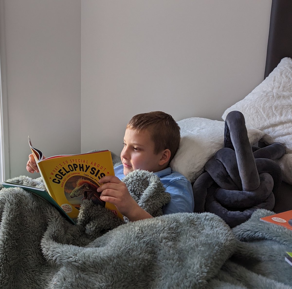 PhoenixSEMH's tweet photo. It's #readingaloud Day - what a lovely way to make use of our cosy reading pod #readingforfun #readingforpleasure #semh #readingpod https://t.co/FXArYH0vn3