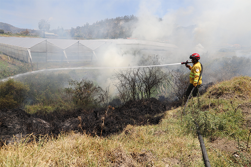 Varias #emergencias fueron atendidas por nuestros uniformados, conoce cuáles fueron y en donde suscitaron en el siguiente reporte: bit.ly/40ibpi1

#BomberosRiobamba #TrabajamosPorTuSeguridad