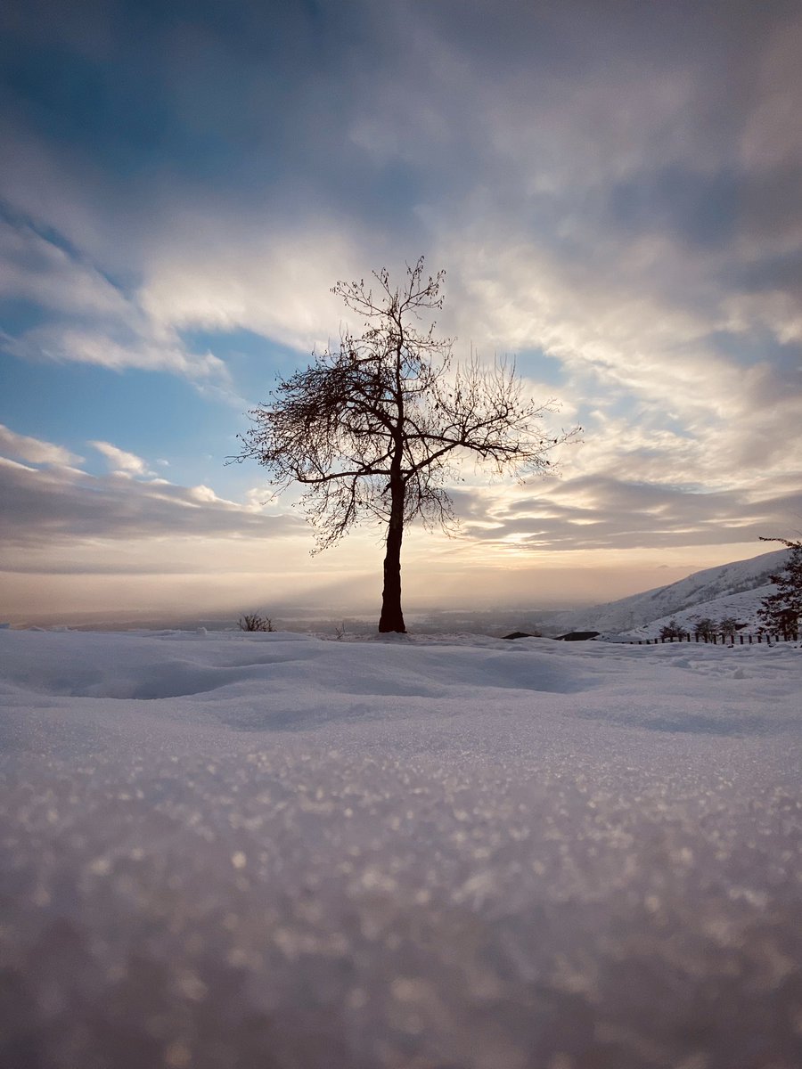 JunaidHanief's tweet photo. “ To appreciate the beauty of a snowflake, it’s necessary to stand out in the cold. ” ~Aristotle https://t.co/dDrIYX1YLM
