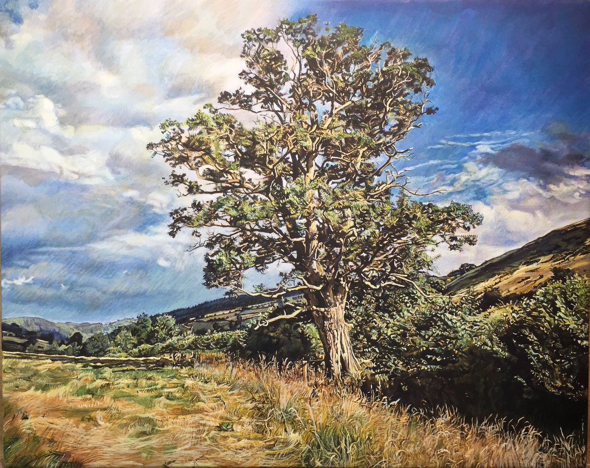Oak Tree. A commission for a neighbour. This tree was struck by lightning and set on fire but still going strong. #oaktree #trees #painting #eggtempera #shropshirehills