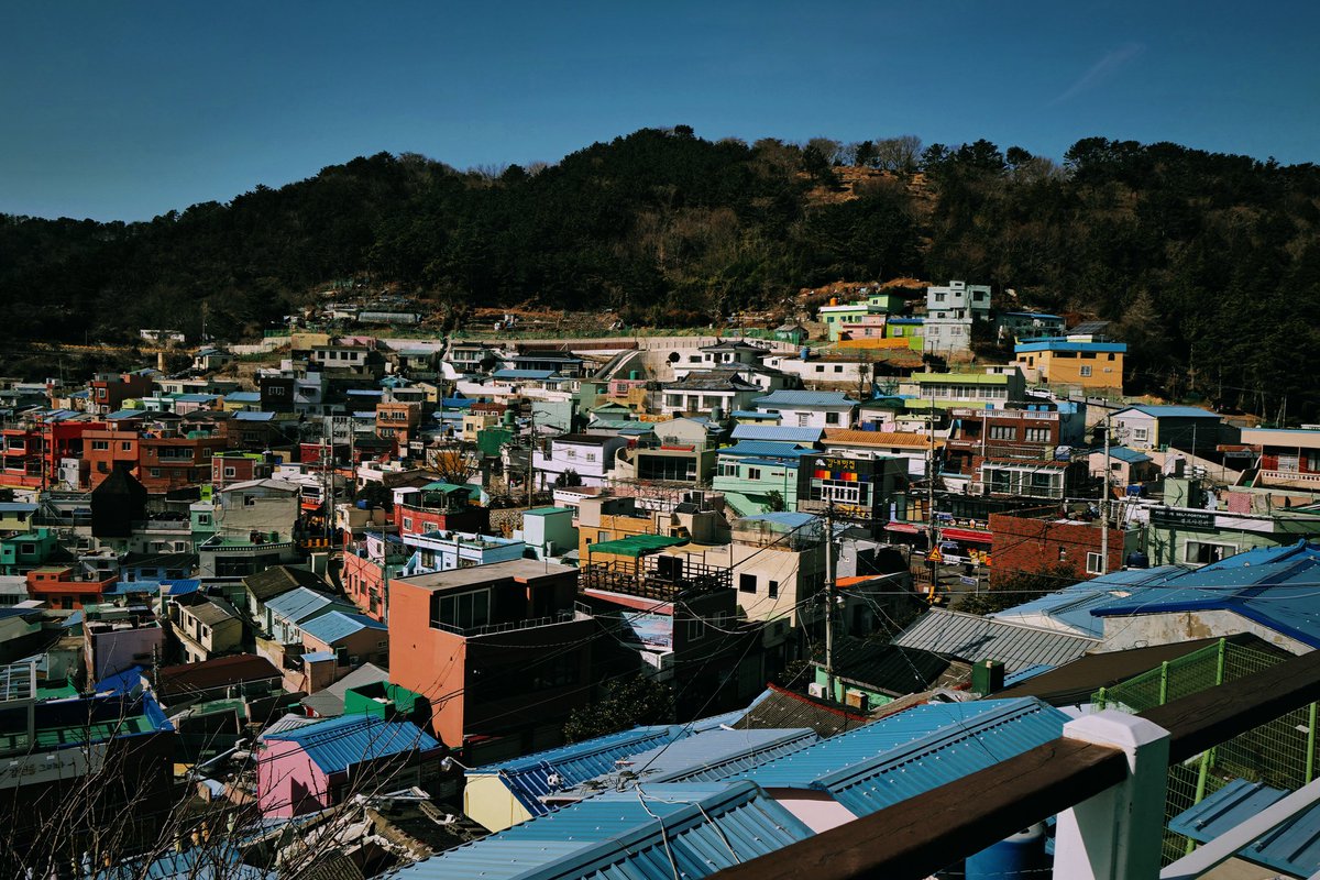 kamijosho's tweet photo. #釜山 #부산 #プサン #busan https://t.co/U6sOxnEt6n