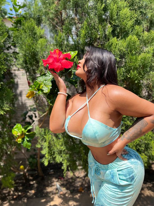 Hola 🦋 Volv&iacute; &hearts;️ https://t.co/HEEofShoMM<a href="/tag/mvsales"class="tags"><span>#mvsales</span></a>