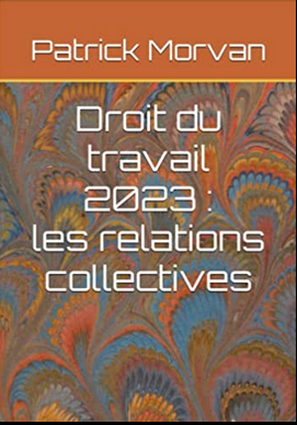 patrick_morvan's tweet image. Parution de la nouvelle édition de mon Droit du travail (relations collectives), à jour au 27 janvier 2023 (9,99 €). amazon.fr/dp/B0BT6DVYBZ