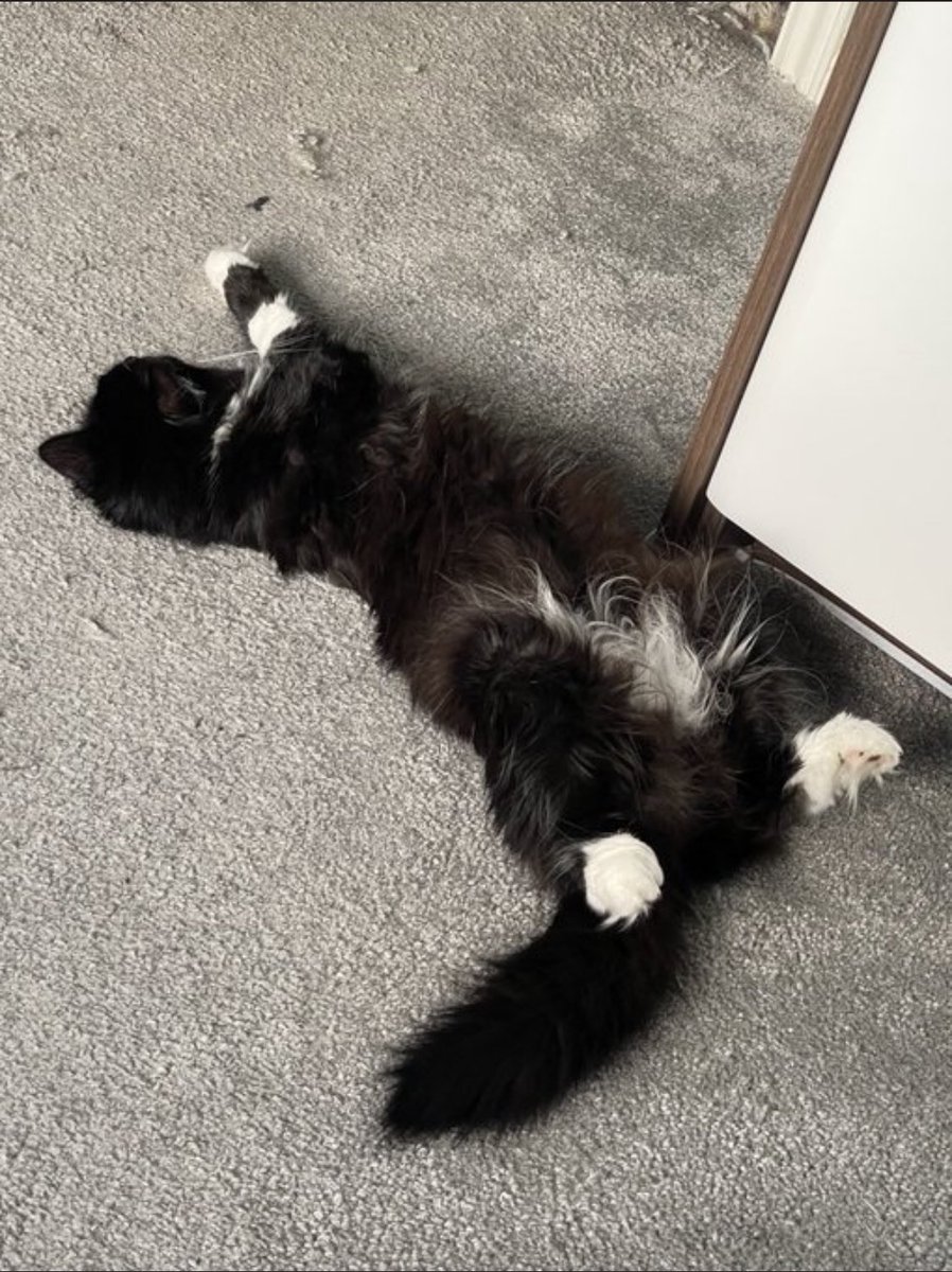 Scott major tweet media