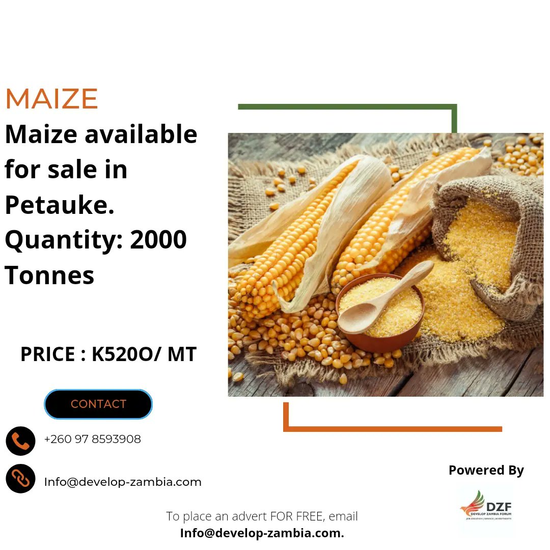 DevelopZForum's tweet photo. AGRICULTURAL COMMODITIES FOR SALE

For details, contact – 097 8593908 or
Email - Info@develop-zambia.com 

#advertising #advertisements #dzf #dzfupdates

To place an advert with #DZF for free, email Info@develop-zambia.com https://t.co/t71KksJxsL