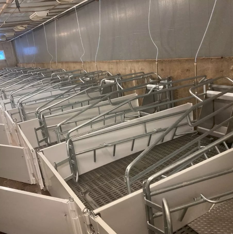 Check out this completed installation. The Norlock penning, @canarmagsystems farrowing crates and Integra flooring look fantastic.🐷 @DortmansB 
#dortmansbros #canarmltd #farrowing #ontag