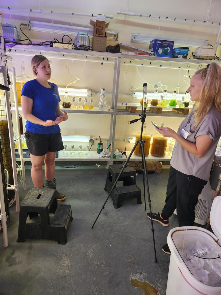 Brad Buck (@bradbuckgator) on Twitter photo Sarah Hutchins, a biological scientist <a href="/UF_IFAS_TAL/">UF/IFAS TAL</a> talks to Jaz McKibben from @uf_ifas social media about copepods. <a href="/SFFGS_UF/">UF School Forest, Fisheries, & Geomatics Sciences</a>, <a href="/cvivian86/">Chris Vivian</a> Sarah Hutchins, a biological scientist <a href="/UF_IFAS_TAL/">UF/IFAS TAL</a> talks to Jaz McKibben from @uf_ifas social media about copepods. <a href="/SFFGS_UF/">UF School Forest, Fisheries, & Geomatics Sciences</a>, <a href="/cvivian86/">Chris Vivian</a>