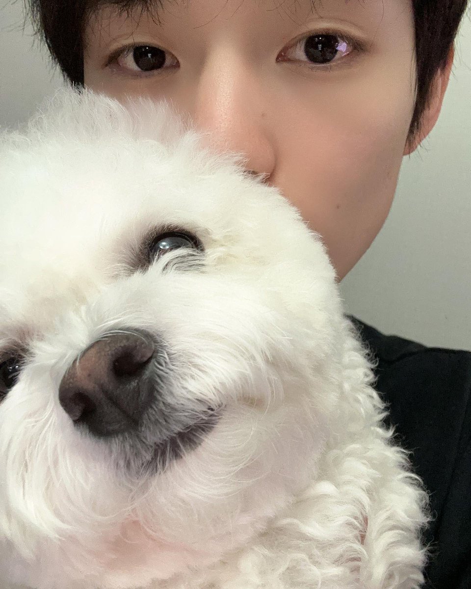 대갈이의 하루 on Twitter: