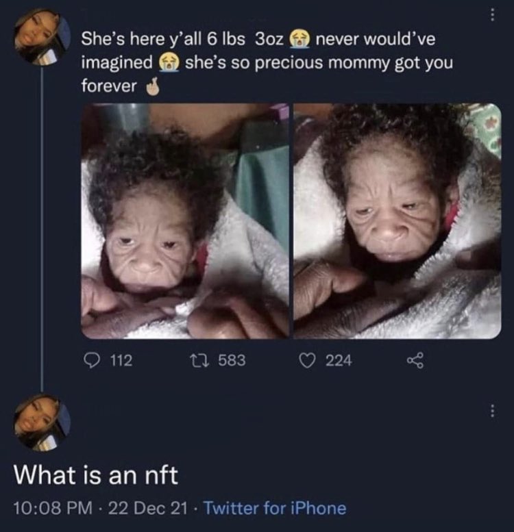 Braindead Bird App (@tragicbirdapp) on Twitter photo 