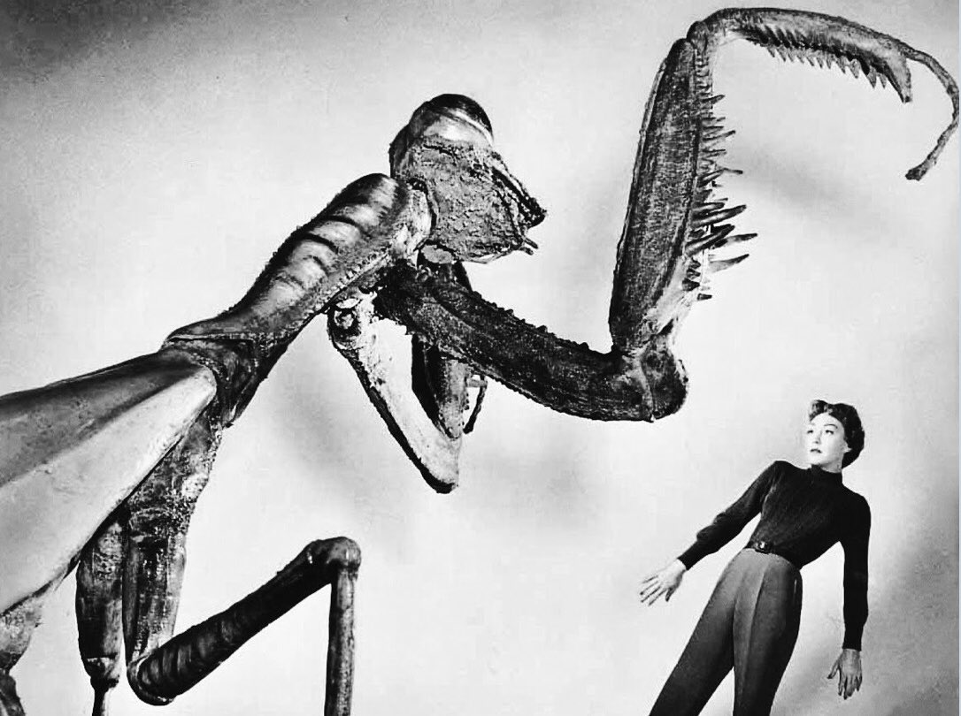 monstersndrinks's tweet photo. “When you’re dancing at the club, and a giant praying mantis keeps cutting in, doesn’t REALLY dance, but skitters, and keeps drooling! (yuck!) You’re used to unorthodox, you love avant-garde dancing, but giant bugs?! ” #MonsterProblems #TheDeadlyMantis #GiantBug #PrayingMantis https://t.co/ositZJSkGv