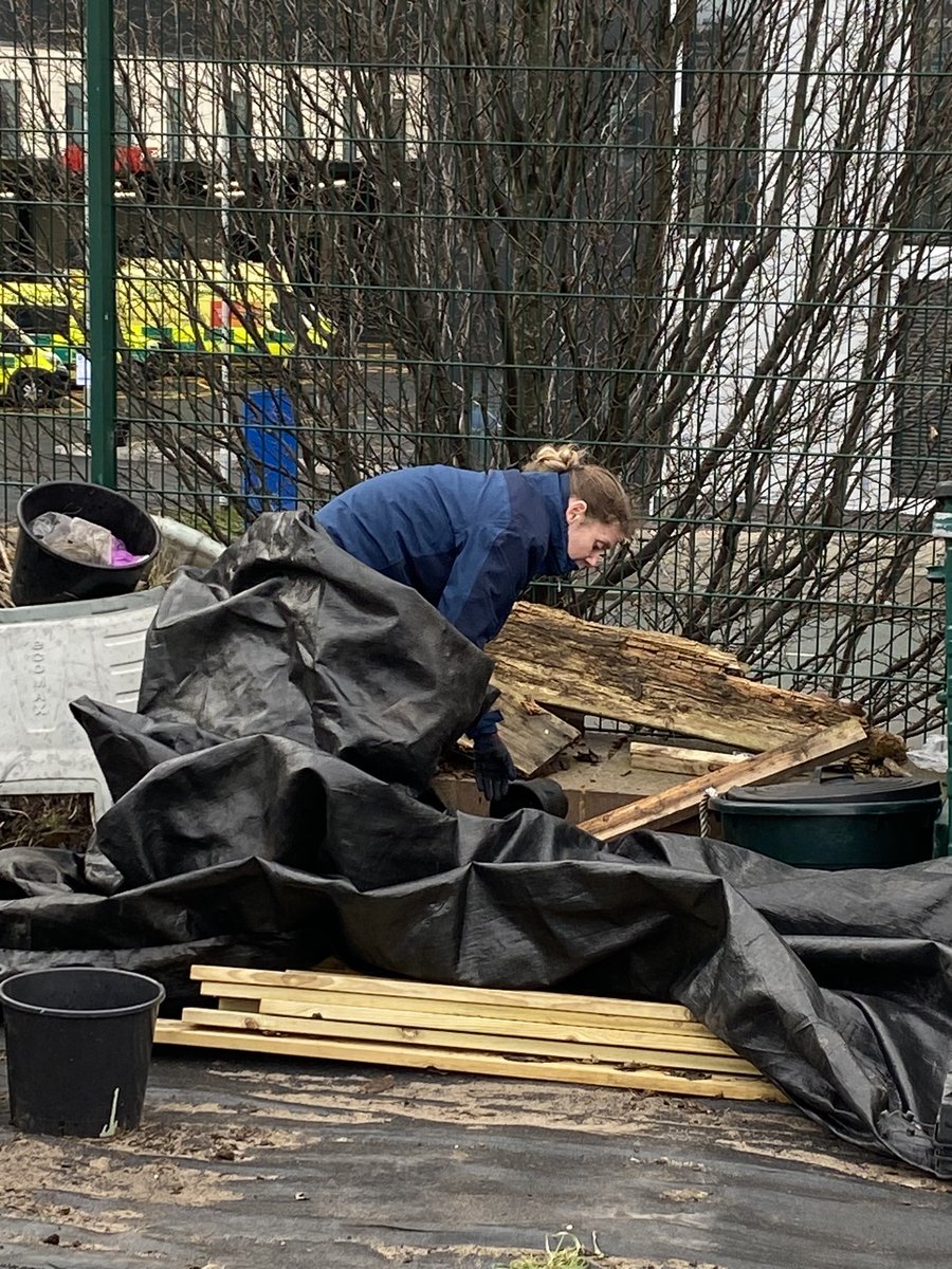 myKFCA's tweet photo. Busy down in the community garden with @BlackburneHouse @B4Biodiversity horticulture students digging growing beds, creating some extra ones, clearing rubbish &amp; testing soil PH @LpoolCityRegion #GreenLCR We we’re also joined by @LJMU students who planted Spring bulbs. #KFCA https://t.co/Lqa0dJdtOb