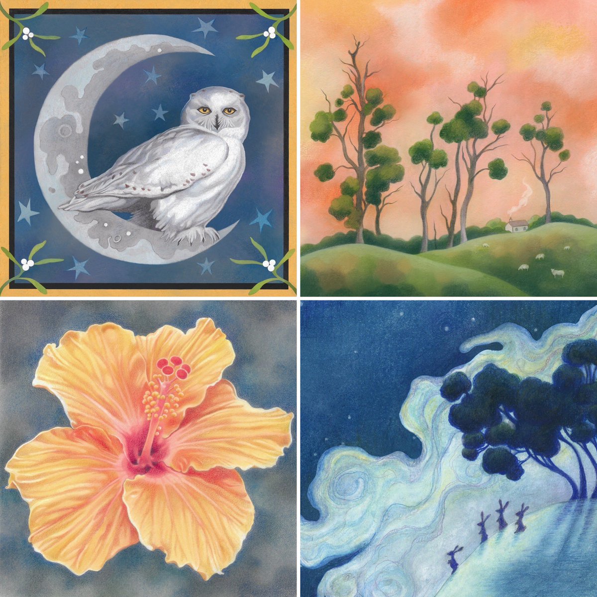 Tabitha Macbeth tweet media