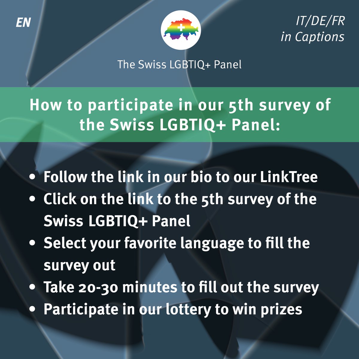 Swiss LGBTIQ+ Panel tweet media