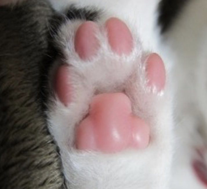 baeks105's tweet image. 