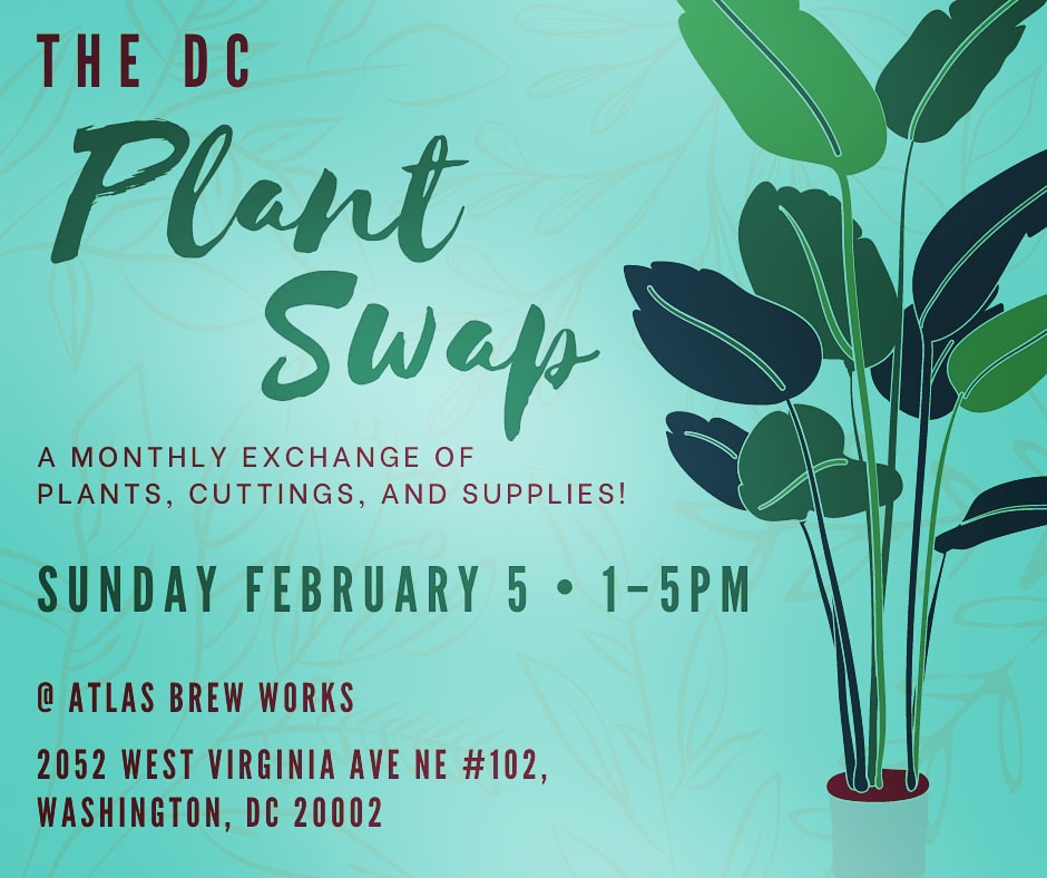 This Sunday is the monthly plant swap <a href="/AtlasBrewWorks/">Atlas Brew Works</a>. Can't wait. Plants galore plus <a href="/JBHumble_Pies/">J.B.Humble Pies</a>.