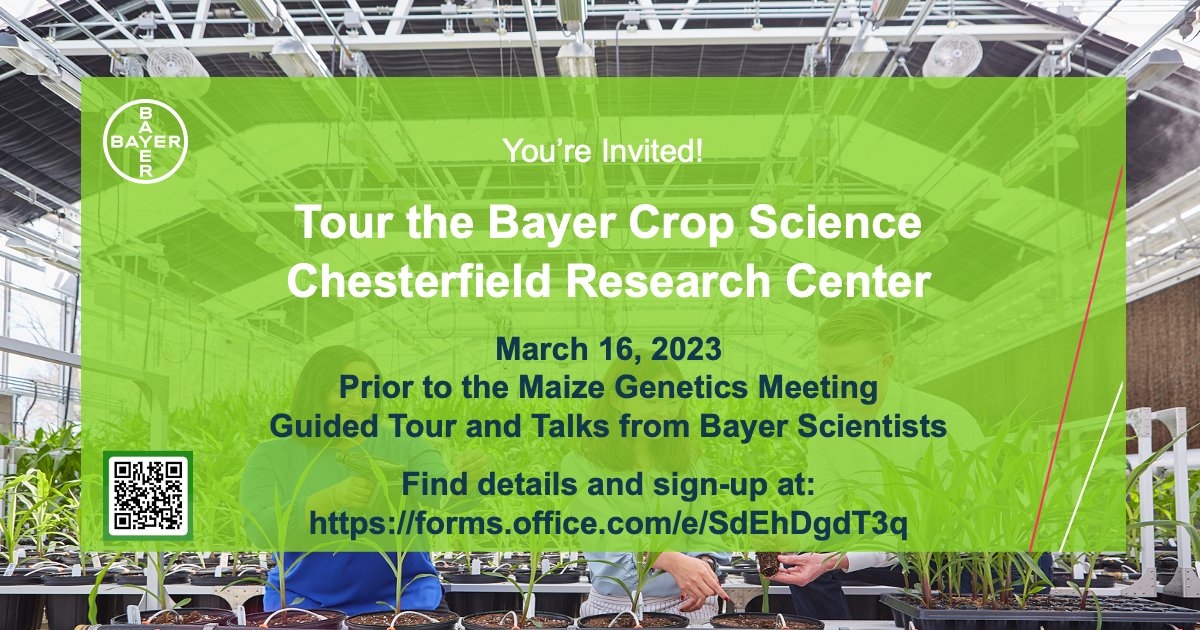 Alex Brohammer tweet media