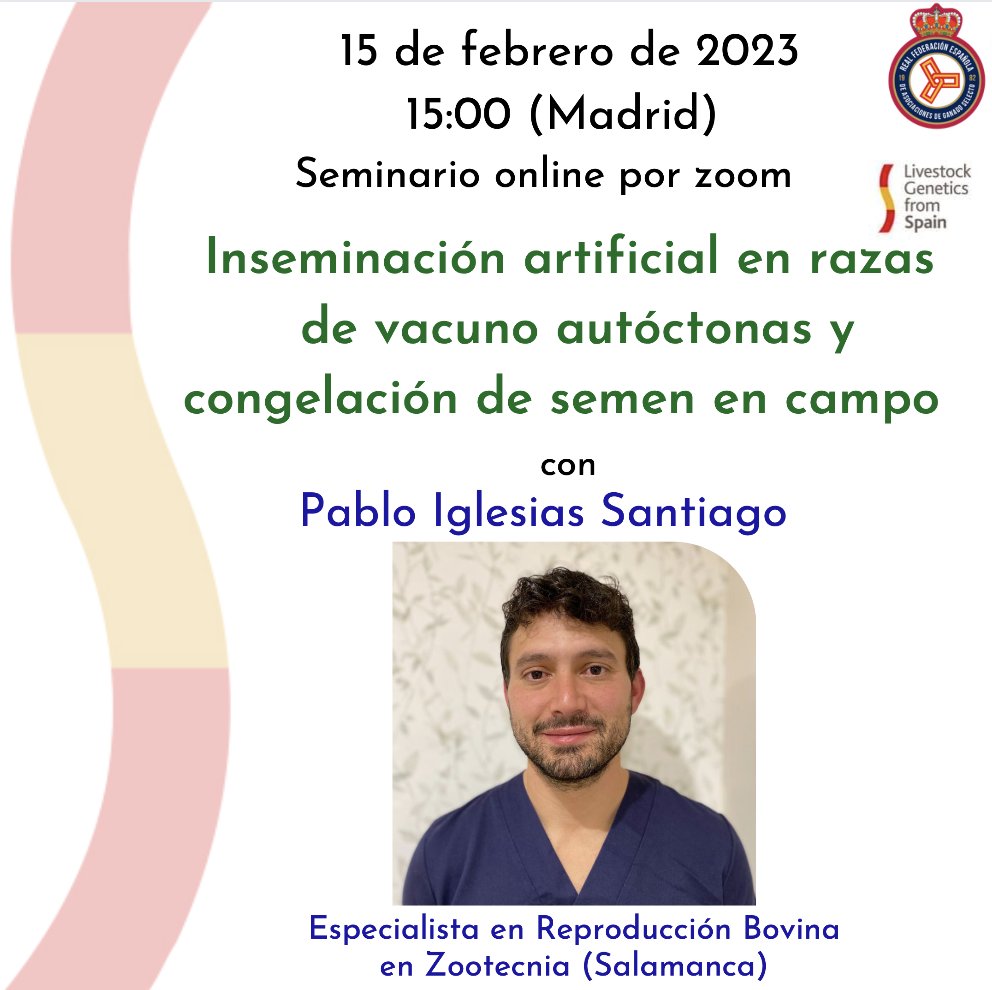 🐂 @LGFSExportGen organiza un #EncuentroVirtual sobre #InseminaciónArtificial en #RazasAutóctonas de #vacuno y congelación de semen en campo.

👤 La actividad contará con Pablo Iglesias Santiago, especialista en reproducción bovina en Zootecnia SL.

🔗 rfeagas.es/lgfs-encuentro…