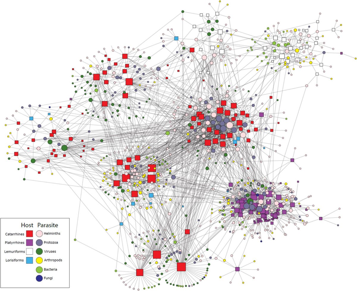 Journal of Animal Ecology (@animalecology) on Twitter photo Hundreds of parasites are all around us, but what makes some species more susceptible than others? New research reveals how traits of both primates and parasites predict their likelihood of interacting.
<a href="/JamesPaulHerre1/">James Paul Herrera</a>
Read the article: doi.org/10.1111/1365-2… Hundreds of parasites are all around us, but what makes some species more susceptible than others? New research reveals how traits of both primates and parasites predict their likelihood of interacting.
<a href="/JamesPaulHerre1/">James Paul Herrera</a>
Read the article: doi.org/10.1111/1365-2…