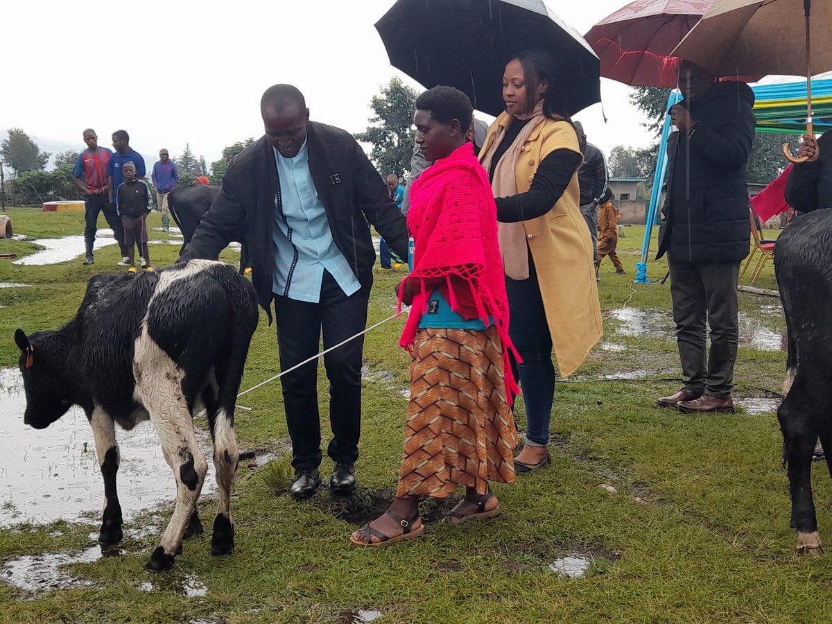 Mamaurwagasabo1's tweet photo. Mu rwego rwo gukomeza kwishimira ibyagezweho n'umuco wo gufashanya nk'abaturage ba #kinigi  haremewe abaturage #batatu batoranijwe @IntwarizuRwanda @MusanzeDistrict @YolandeMakolo @rbarwanda @RwandaGov @JCMusabyimana @kamaxelle @IGIHE @ENERGY888FM @oswaki @JanvierPopote https://t.co/RxeS7rMFEs