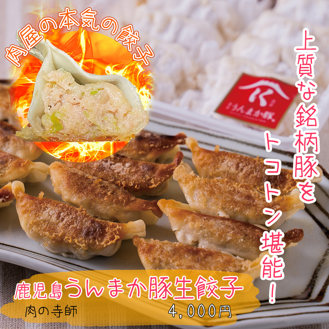 leap_kagoshima's tweet photo. 鹿児島の新定番グルメ“餃子”をおとりよせ🥟
産直通販サイトかごかご.jpでは、編集部おすすめのぎょうざ6選を紹介＆販売。専門店から肉屋、ラーメン屋、無人販売店など、こだわりを包んだぎょうざが大集合！2月20日(月)までは九州圏内送料一律500円キャンペーンも実施中です🎉
https://t.co/NZcaNHnyXU https://t.co/cwqlLPGbqG