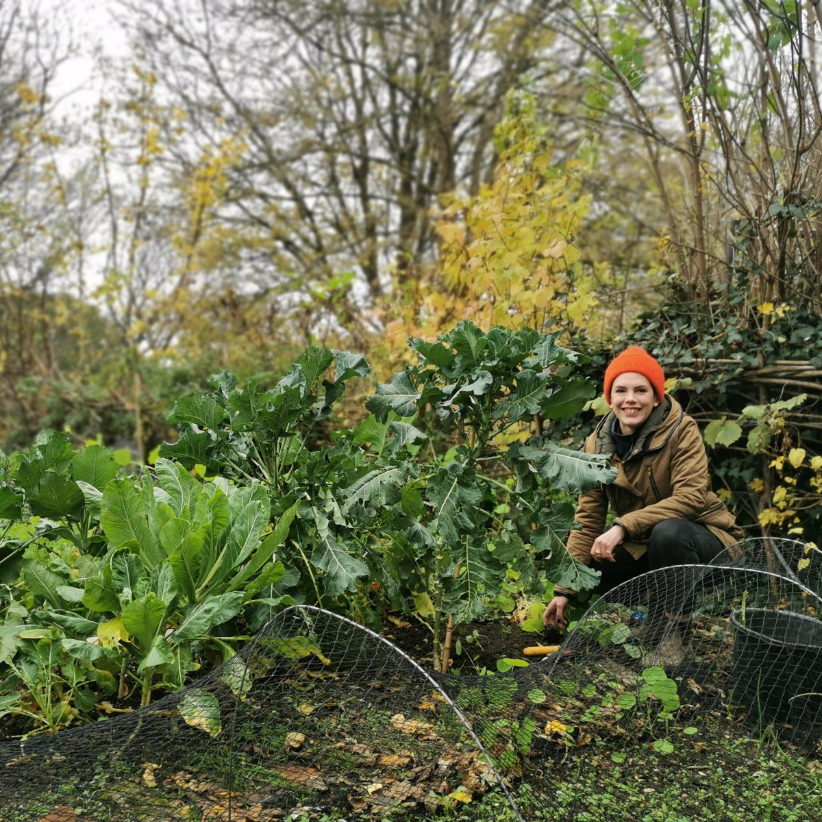 SCCommunityGarden (@sccommgarden) on Twitter photo We're back open from Sunday 11am-3pm. Visitors and volunteers welcome!
This month we have a free Winter Fruit Pruning Workshop Sunday 12 February 11am-2.30pm
To book a free place email streathamcommunitygarden@gmail.com @capital_growth <a href="/RookeryTweets/">The Rookery Café</a> <a href="/sccoopstreatham/">Streatham Common Co-operative</a> We're back open from Sunday 11am-3pm. Visitors and volunteers welcome!
This month we have a free Winter Fruit Pruning Workshop Sunday 12 February 11am-2.30pm
To book a free place email streathamcommunitygarden@gmail.com @capital_growth <a href="/RookeryTweets/">The Rookery Café</a> <a href="/sccoopstreatham/">Streatham Common Co-operative</a>