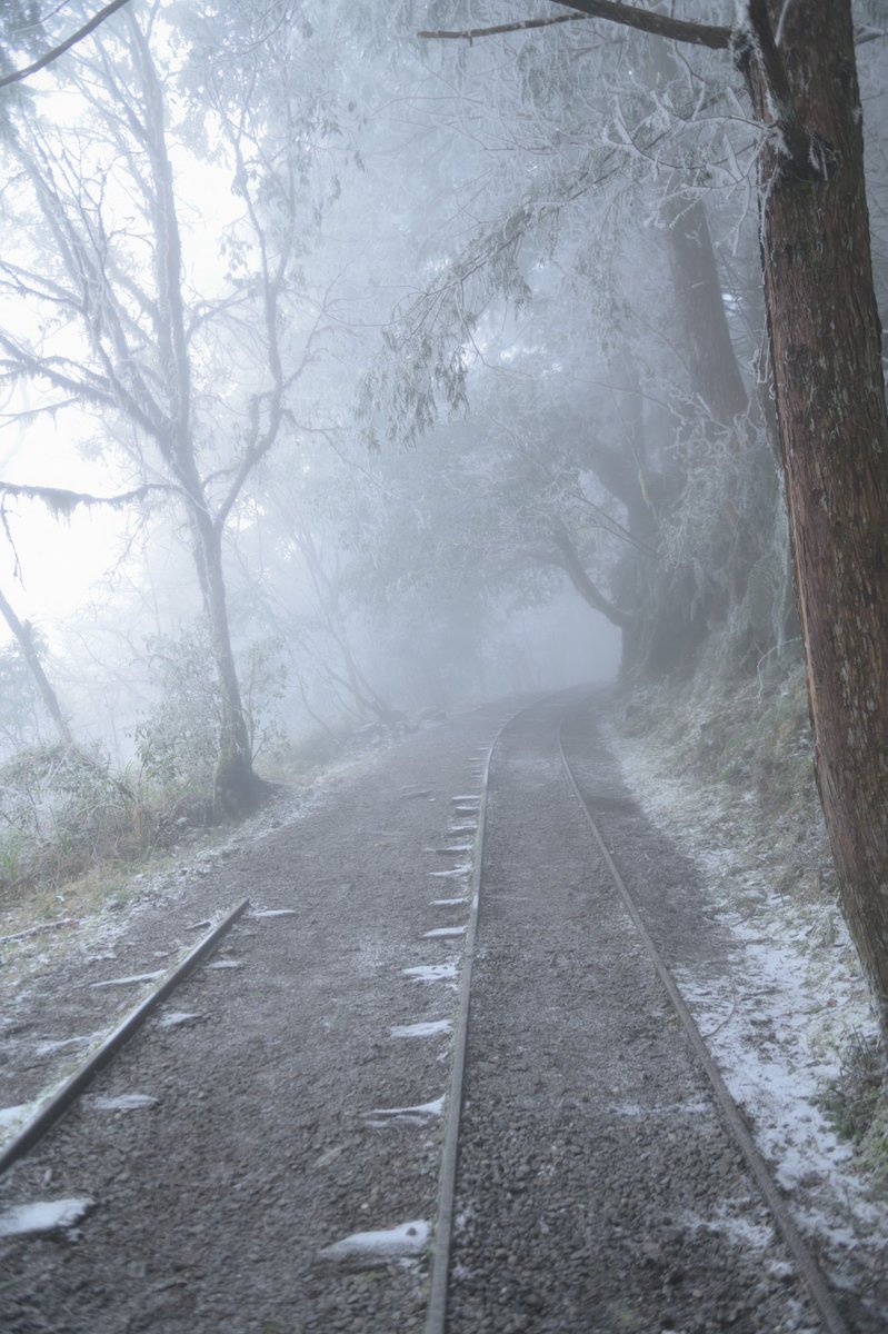 f70045's tweet photo. 上週上太平山追雪,冷ㄐㄐ
趁著人潮湧上來之前就快點跑下山了 https://t.co/zE40jlIgOl