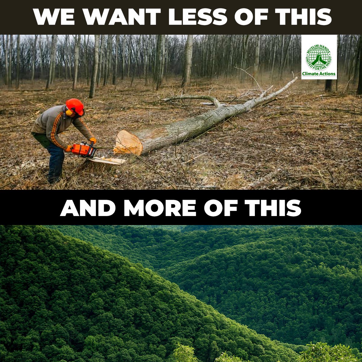 As #forests grow, their #trees take in #carbon from the air and store it in wood, plant matter, and under the soil. If not for forests, much of this carbon would remain in the atmosphere. Let's be a protector and not a destroyer.
#ClimateCrisis #NatureCrisis #SaveCongoRainforest