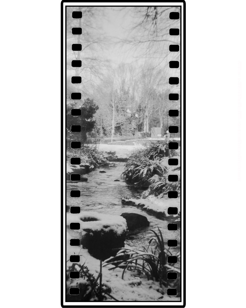 ✏️ “Walsall Arboretum Stream". (Taken on a 73-year-old film camera). My first venture into the #frugalfilmproject - Jan 23, "My Hometown"

🌍 Walsall 🏴󠁧󠁢󠁥󠁮󠁧󠁿

🗓 18/01/2023
(Please click to view the full image)
#walsallarboretum #filmsnotdead #sprocketholes #blackandwhitephoto #foma