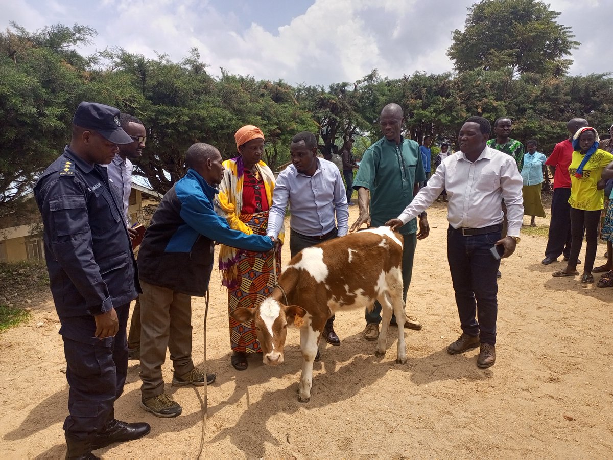 SectorMuhanga's tweet photo. Kwizihiza Umunsi w'Intwari z'Igihugu ku nshuro ya 29 mu murenge wa Muhanga bisojwe no koroza umuryango wa MUKABIDELI Consolata muri Gahunda ya Girinka Munyarwanda. https://t.co/Vhwy4UV2rx