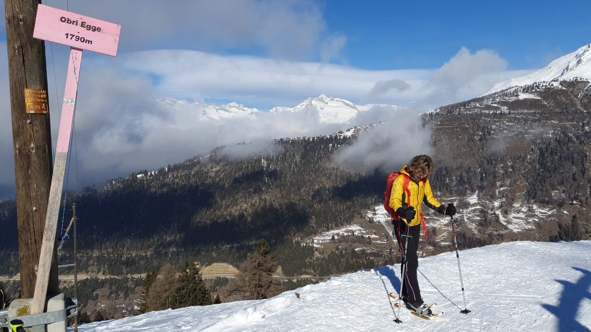 Alpenweerman's tweet photo. Vanmorgen onderweg in het "verborgen" sneeuwzekere wintersport paradijs #Rothwald. In een normale winter ligt de (poeder) sneeuw hier meters hoog. Net als vorige winter nu grote sneeuwarmoede. Een blik richting de bruine zuidhellingen v #Rosswald verraadt de sneeuwarmoede 🇨🇭. https://t.co/YVKPsZgTDi