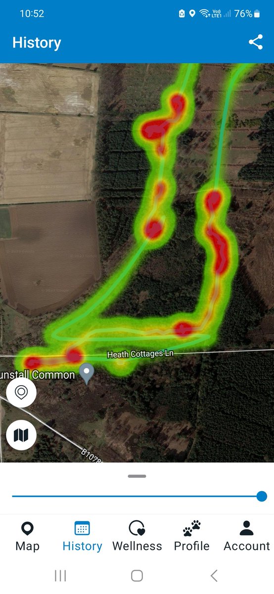 Emma Payne💙🇺🇦 tweet media