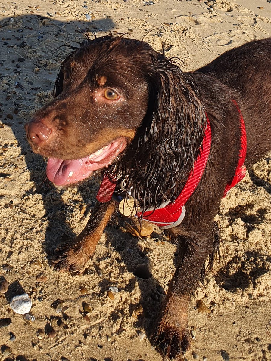 Emma Payne💙🇺🇦 tweet media