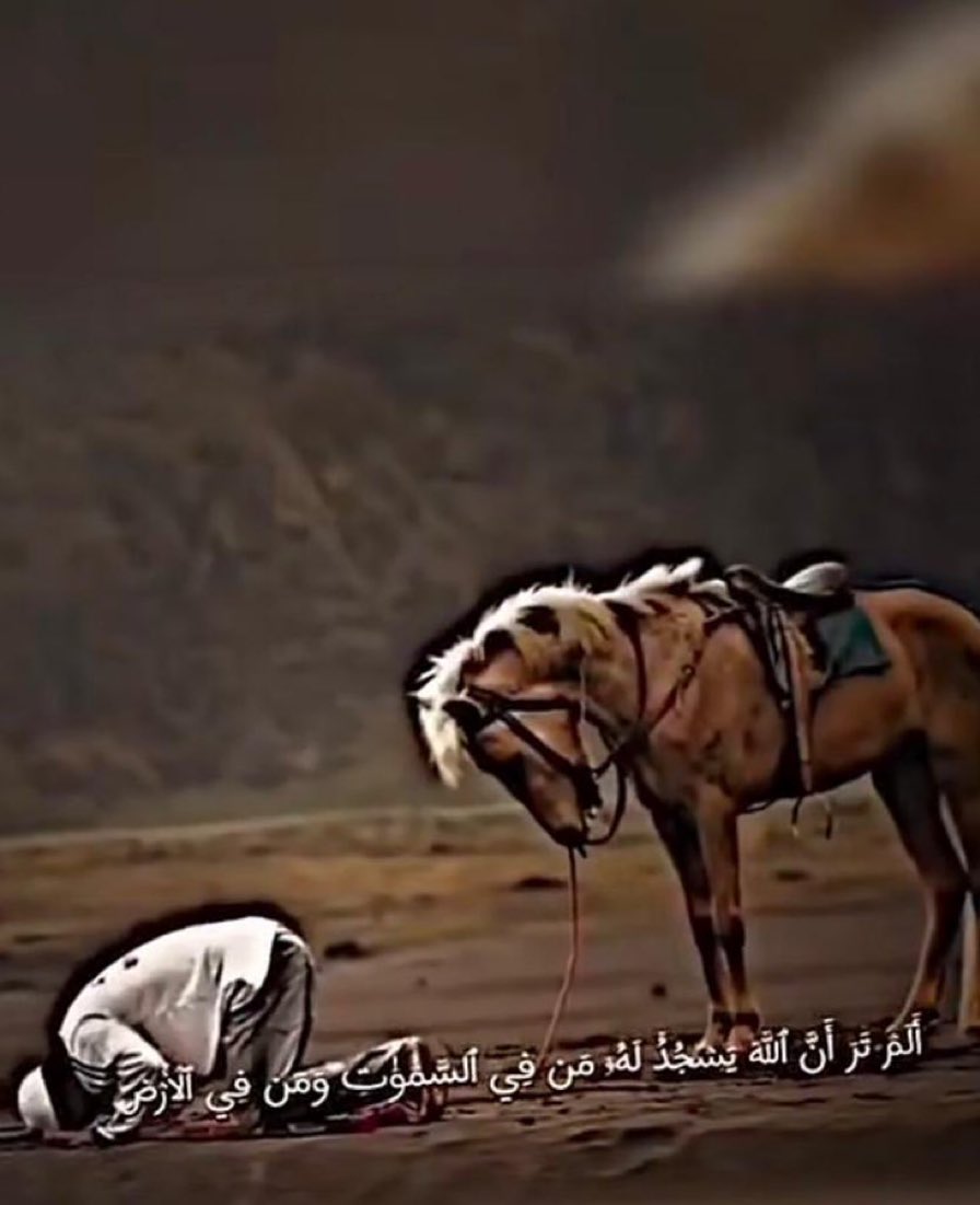 •تحيّاتي لمن دمّر حياتي. tweet media