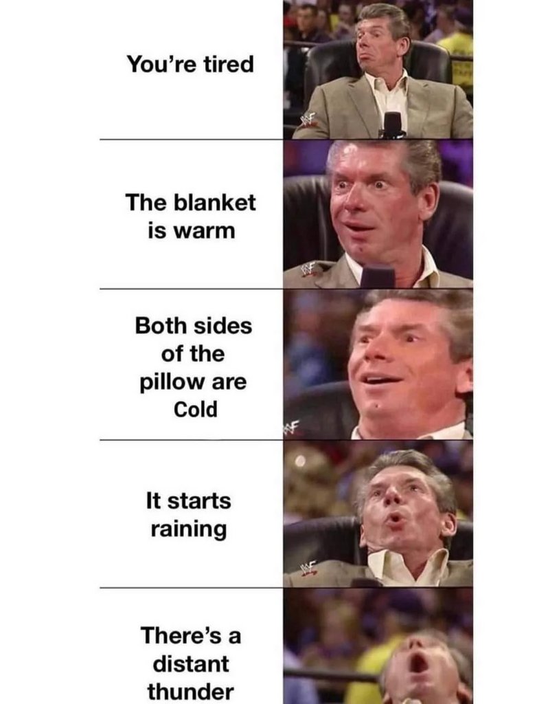 WholesomeMemer's tweet photo. The perfect night #Wholesome https://t.co/7K7c8JTkTP