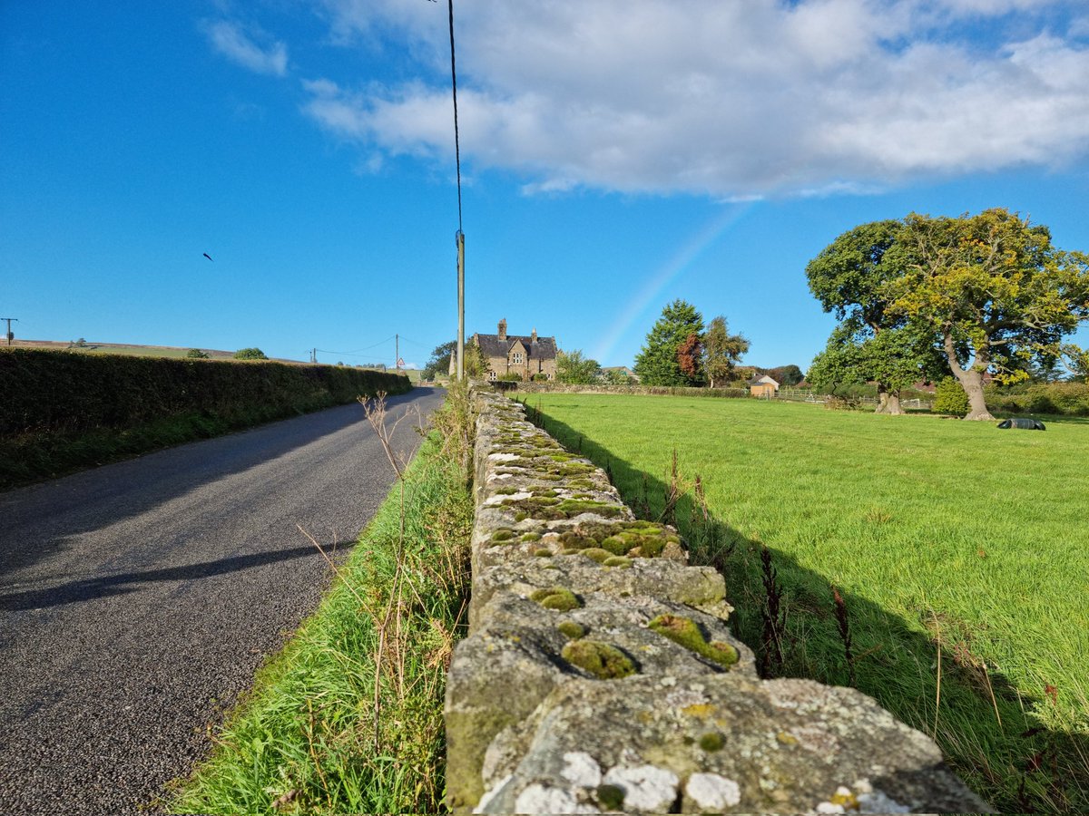 Thomas Shacklady tweet media