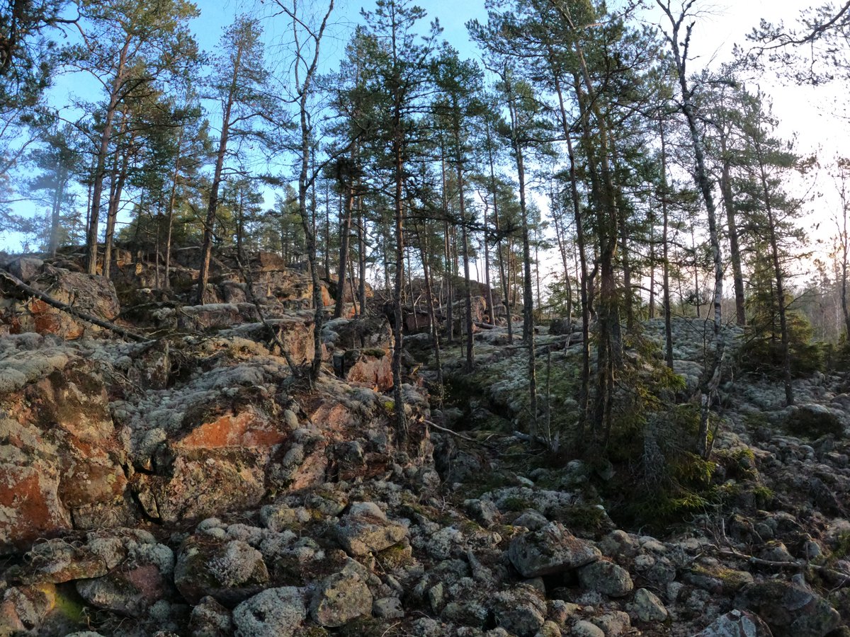 orientera_aland's tweet photo. Träningspaket är nu öppet 😍 Välkomna till Orientera på Åland 🙌 https://t.co/dHeszcIvff